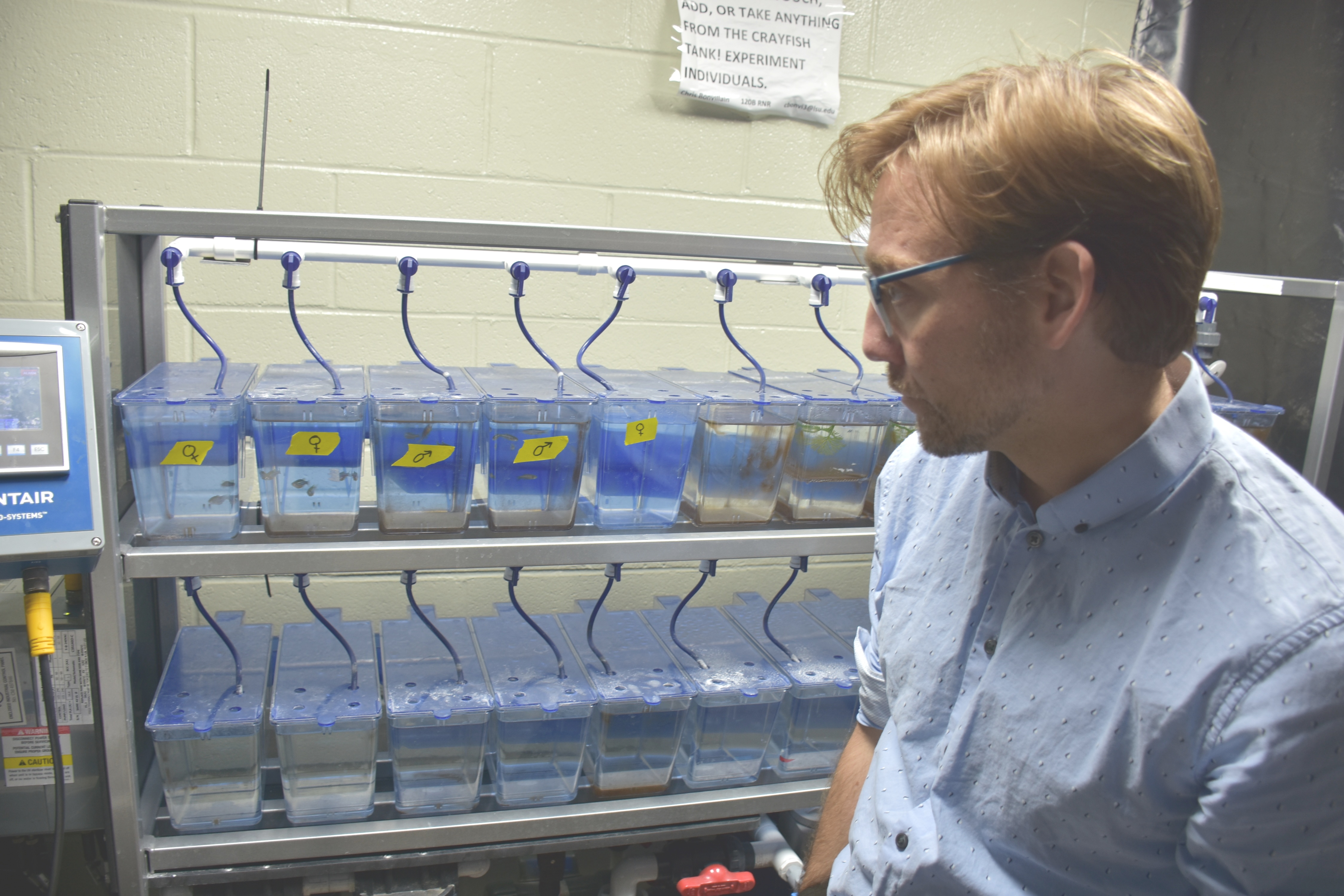 LSU AgCenter awards first cannabis-related research funds